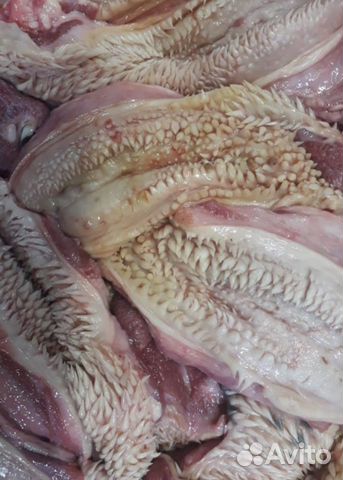 Мясо для собак