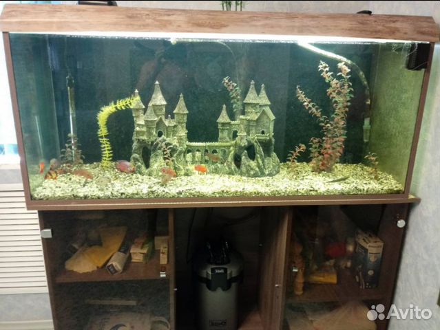 Аквариум 400л+рыбки+тумба+фильтр Tetra 1200