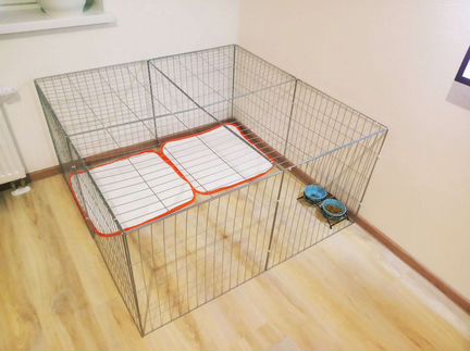 Вольер для собак с доставкой 120*60см арт#0177