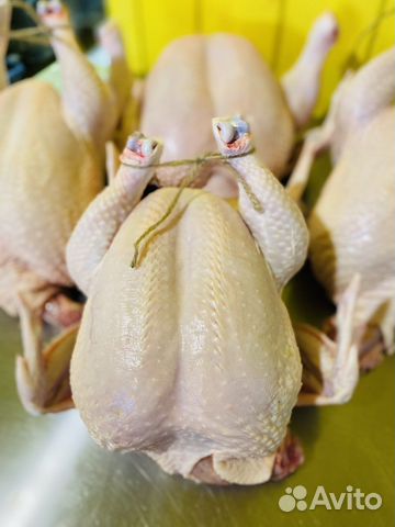 Мясо домашнее цыплят бройлеров
