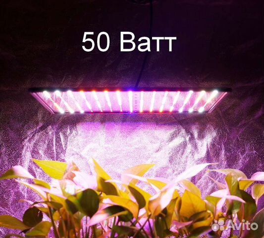 Фитолампа LED светильник полного спектра 50 ватт