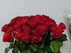 Цветы от Ксении. Огромный выбор. Розы. От 31.51.10 объявление продам