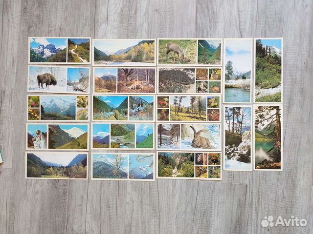 Набор открыток СССР тибердинский заповедник