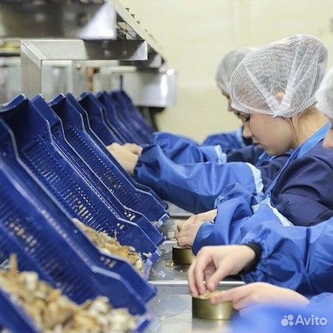 перерабатывающая промышленность. пищевая промышленность ростовской области. пищевые производственные линии. пищевая и перерабатывающая промышленность ростовской области. пищевая и перерабатывающая промышленность.