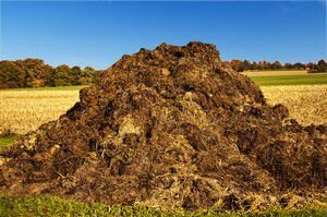 Навоз, торф, перегной, чернозем