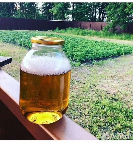 Разговоры о выпивке - как мы пили пиво в конце 80-х - DRIVE2