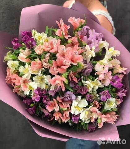 Альстромерия микс букет №549