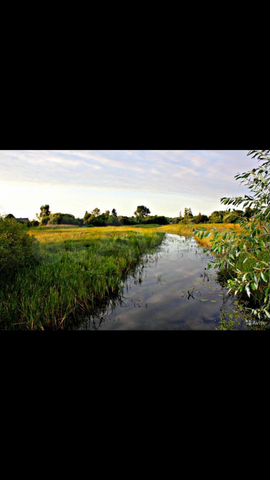 Участок 24 сот. (ИЖС)