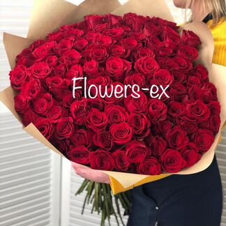 Розы Эквадор, Букет 25 роз, купить розы оптом