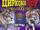 Цирк Колизеум шоу львов и тигров объявление продам