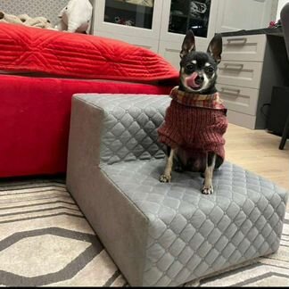 Лесенка, ступеньки для животных