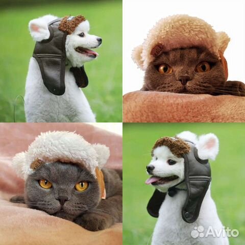 Головные уборы для животных