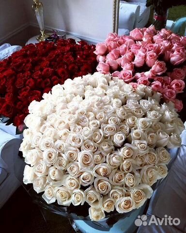 101 Роза, 51 Роза