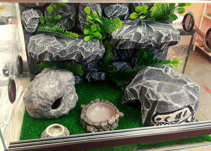 Террариум для эублефара