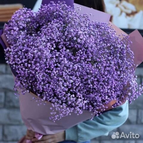 Цветная Гипсофила, букет цветы доставка
