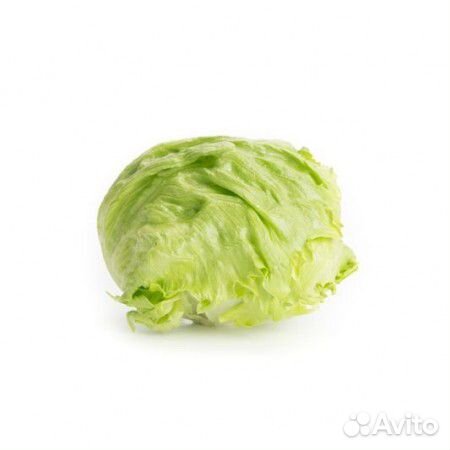 Семена Салата 