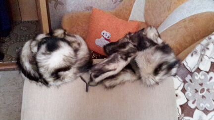 Шапка меховая енот