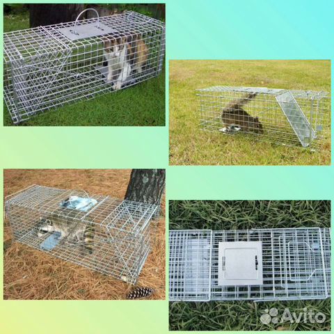 Клетка-кошколовка