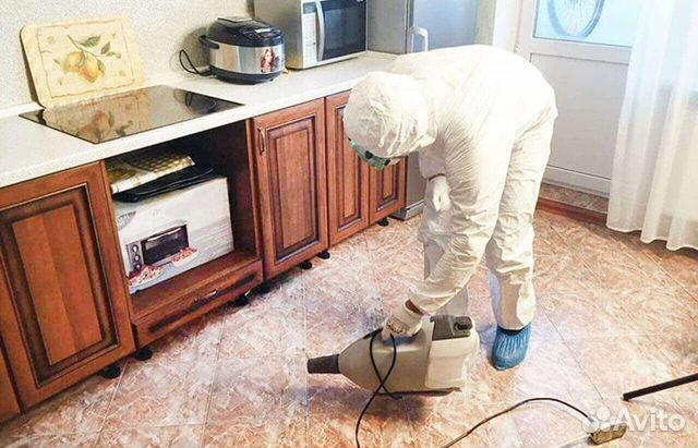 Уничтожение клопов, травить тараканов. Дезинфекция
