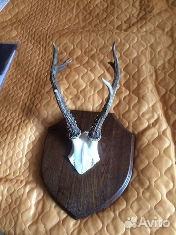 Вешалка- рога косули
