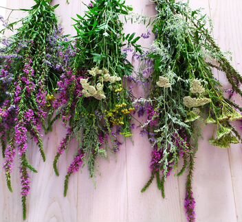 Лекарственные травы,венички для бани