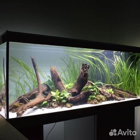 Чистка. Обслуживание. Запуск. Перезапуск. Аквариум