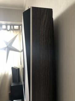 Bang & Olufsen Beovox P30