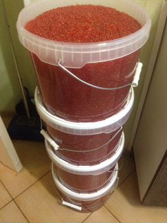 Икра красная. Горбуша. Опт. 11 кг. Цена за 1 кг