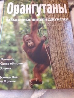 Энциклопедия про животных