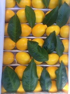 Лимоны Узбекские