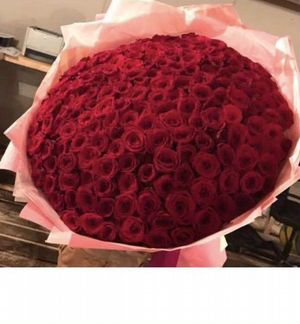 Розы, 51 роза, 101 роза