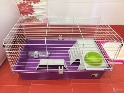 Клетка для кролика морской свинки ежа