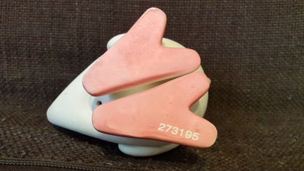 Птичка Киви, Vulli