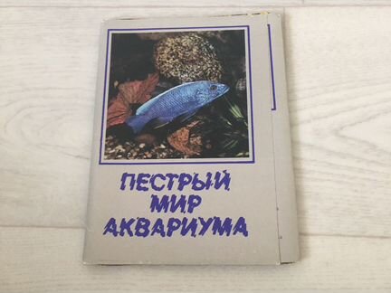 Набор открыток « Пестрый мир аквариума», 1983 год