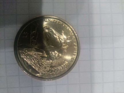 Юбилейные США-1 доллар Сакагавея