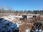 Готовая ферма с полями для сенокошения 59 га. Скот