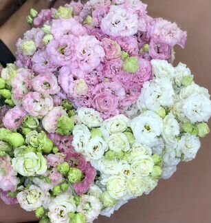 Розы, Букеты Цветы 25 51 151 201 501 101