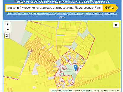 Кадастровая карта публичная ленинградской области ломоносовский район кипень
