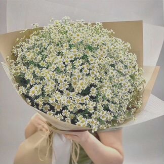 51 Ромашка на Новый Год