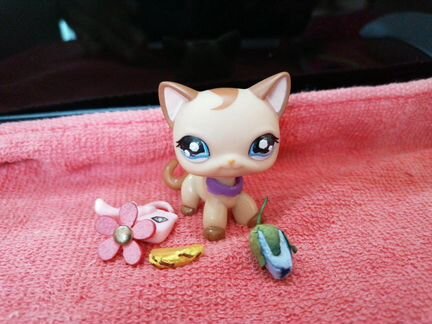 Лпс стоячка