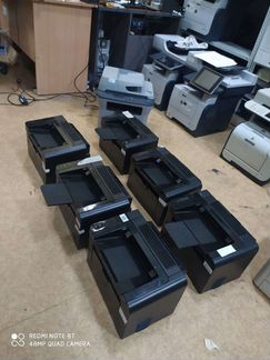 Принтер HP Pro P1606dne