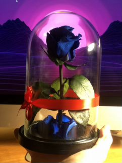 Вечная роза в колбе