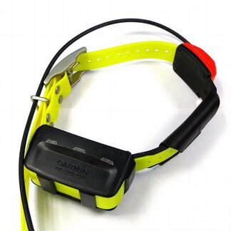 Ошейник Garmin T5 RUS