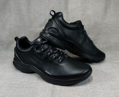 Ecco biom fjuel