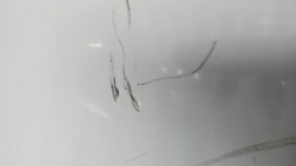 Дверь раздвижная левая Peugeot Expert, 2009