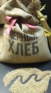 Овёс голозёрный био Чёрный хлеб 1 кг, 5 кг, 25 кг