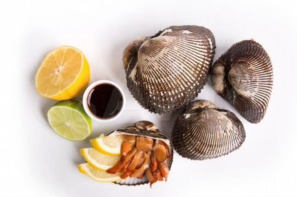 Анадара (моллюск с кровью)