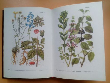 Книги: здоровье, лек.растения, массаж